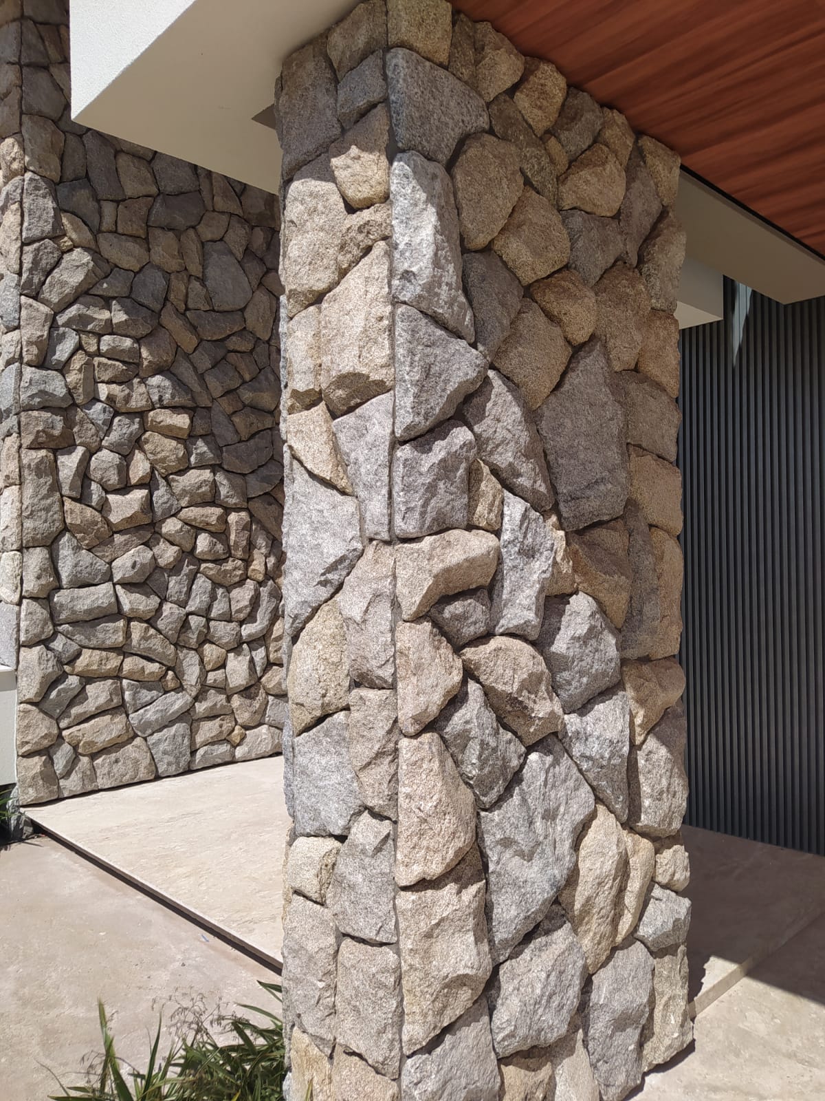 Casa Ricardo Aragão Vicente pires3